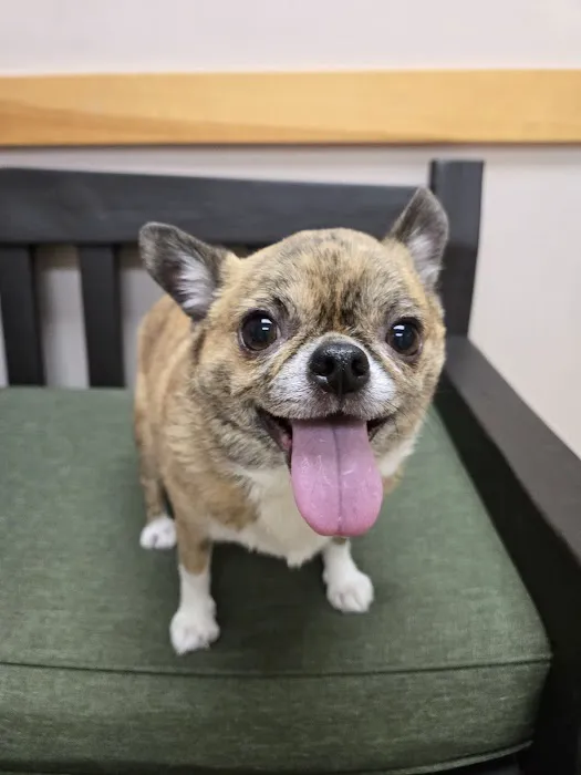 Milford Veterinary Hospital Picture 6