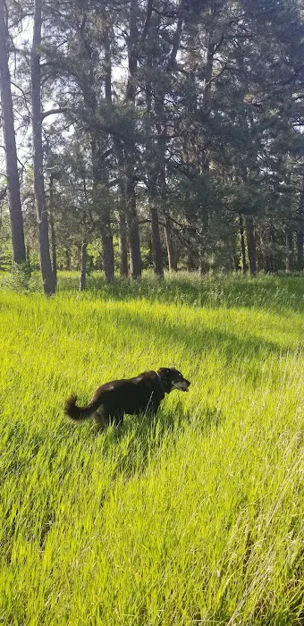 Raven Rock Veterinary Services Picture 1