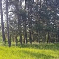 Raven Rock Veterinary Services ico