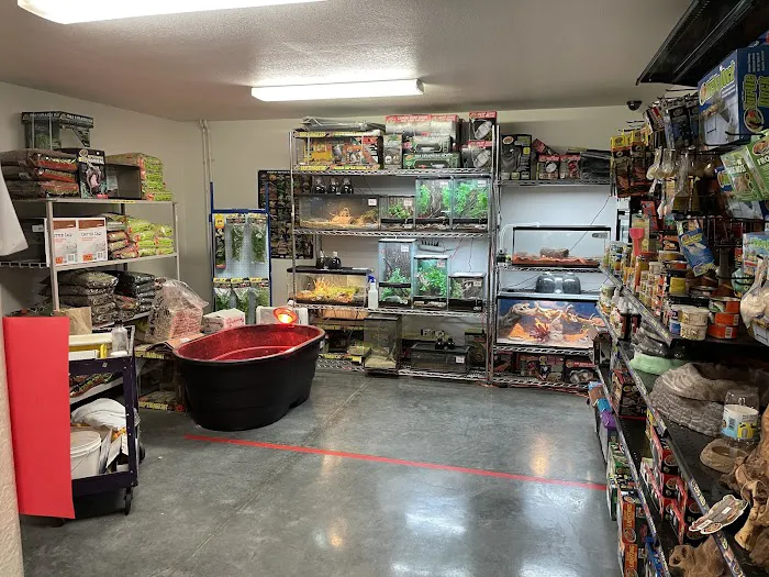 Bogie's Discount Pet Food & Supplies Picture 2