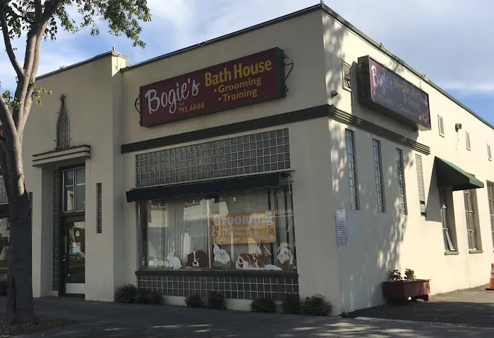 Bogie's Discount Pet Food & Supplies Picture 1