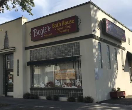 Bogie's Discount Pet Food & Supplies
