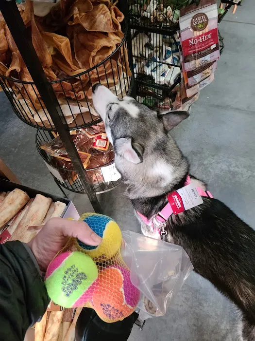 Bogie's Discount Pet Food & Supplies Picture 4