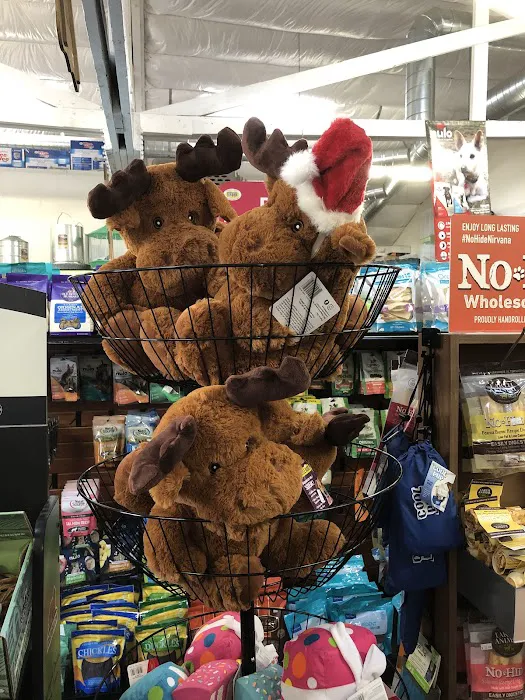 Bogie's Discount Pet Food & Supplies Picture 8