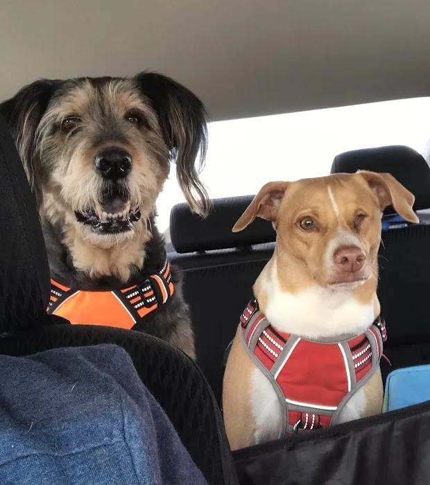 Great Brook Veterinary Clinic Picture 2