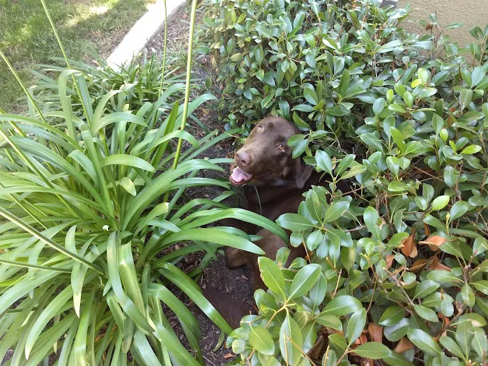 Great Brook Veterinary Clinic Picture 6