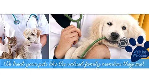 Great Brook Veterinary Clinic Picture 7