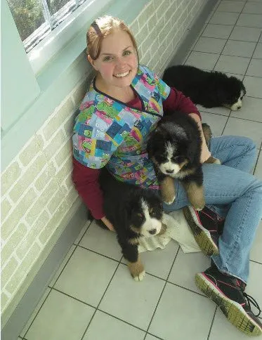 Great Brook Veterinary Clinic Picture 8