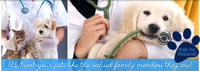 Great Brook Veterinary Clinic Picture 10