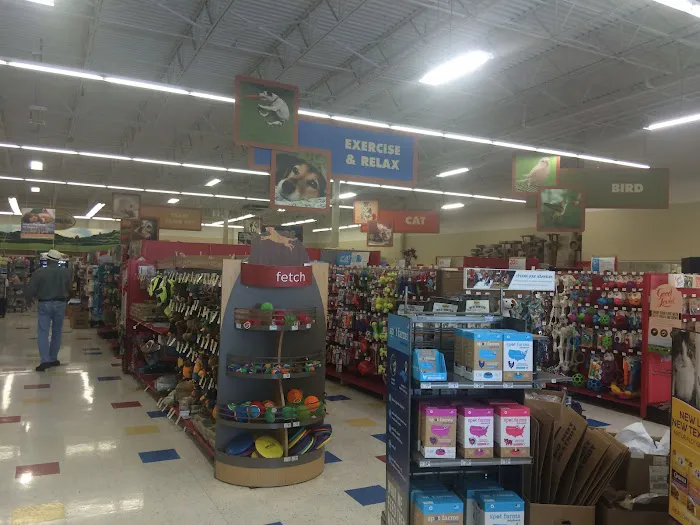 Petco Picture 4