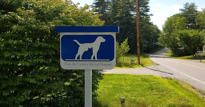 Town & Country Animal Hospital Picture 1