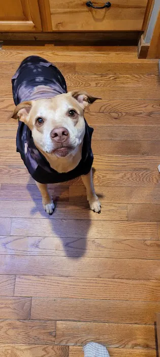 Town & Country Animal Hospital Picture 5