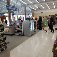 Petco ico