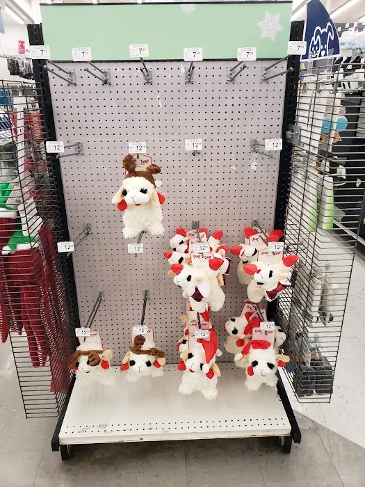 Petco Picture 2