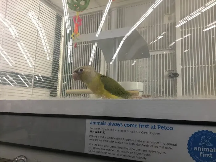 Petco Picture 4