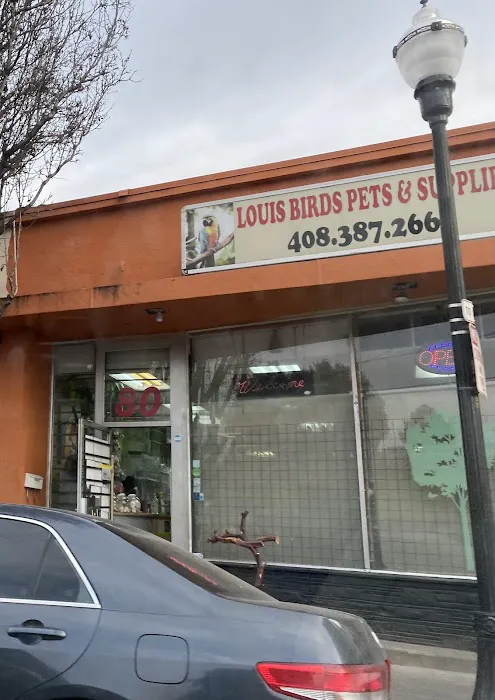 Louis Birds Pets & Supplies Picture 1