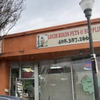 Louis Birds Pets & Supplies ico