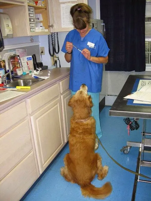 VCA Windham Animal Hospital Picture 1