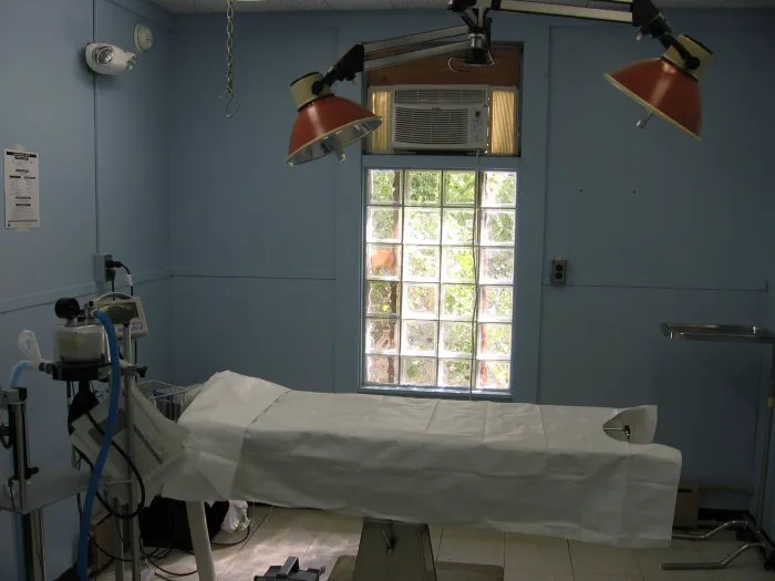 VCA Windham Animal Hospital Picture 4