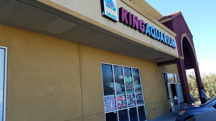 King Aquarium Picture 1
