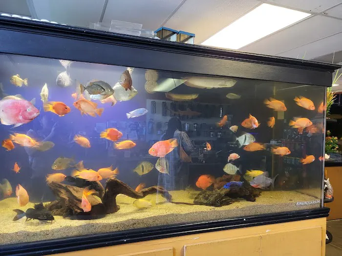 King Aquarium Picture 3
