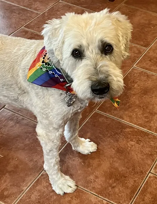 Brattleboro Veterinary Clinic Picture 3