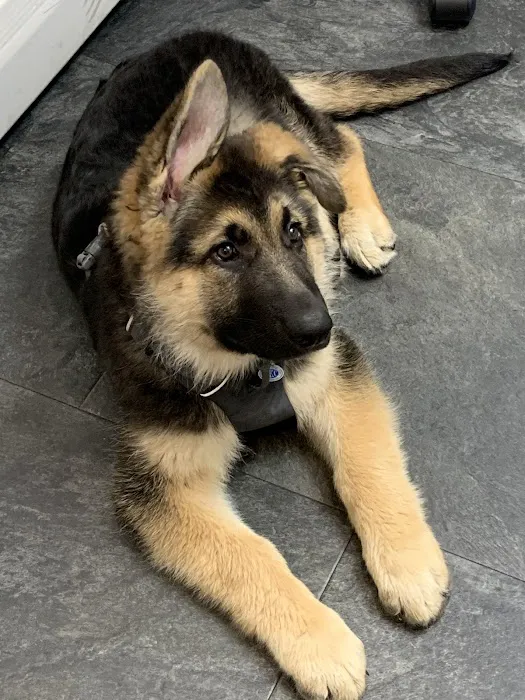 Brattleboro Veterinary Clinic Picture 4