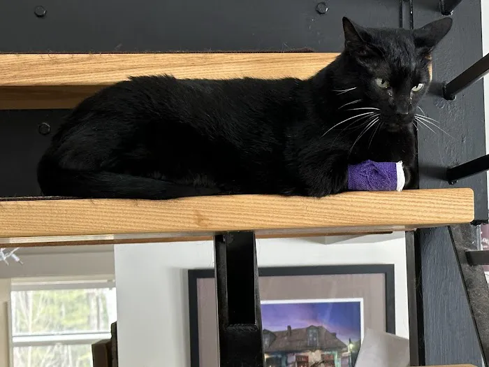 Brattleboro Veterinary Clinic Picture 7