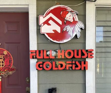 Full House Goldfish (满屋金鱼)