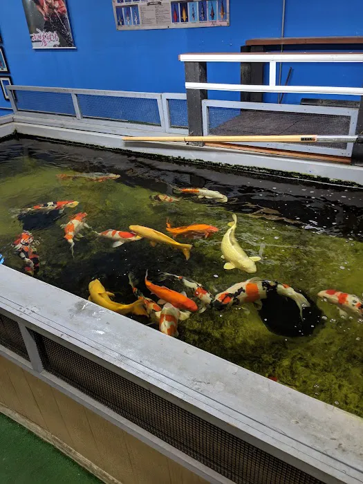 Genki Nishikigoi, Inc. Picture 1