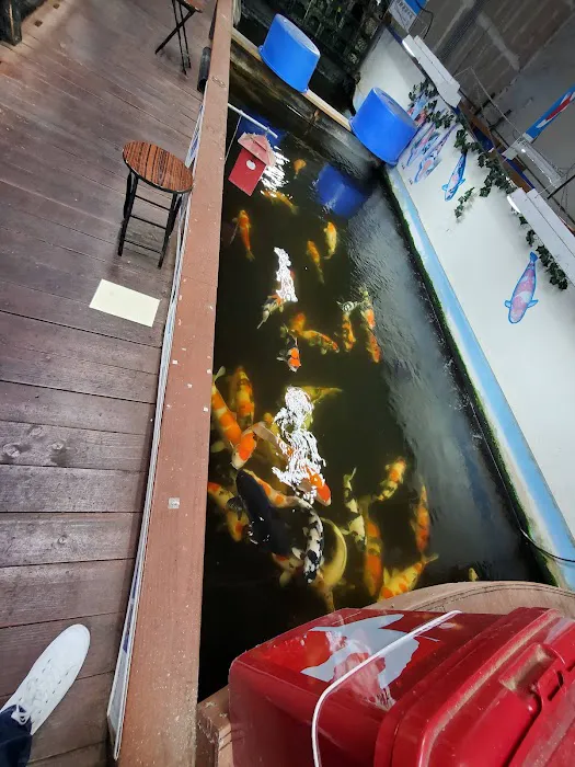 Genki Nishikigoi, Inc. Picture 7