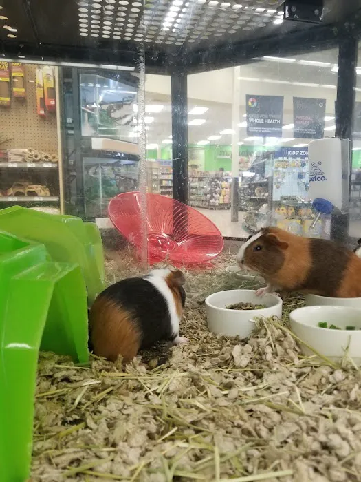 Petco Picture 3
