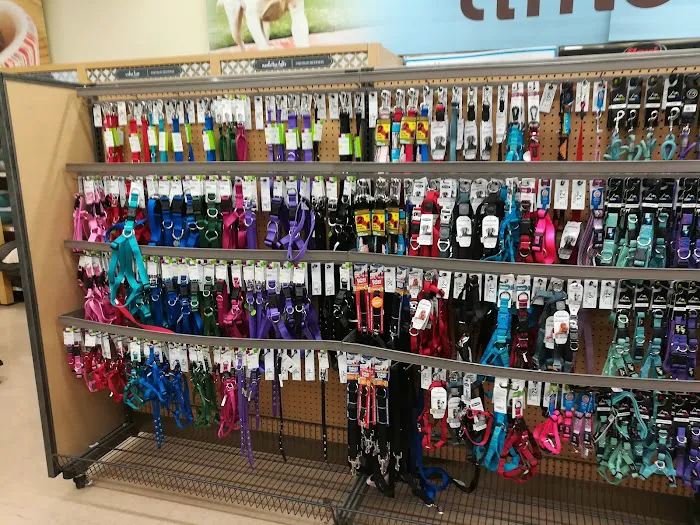 Petco Picture 9