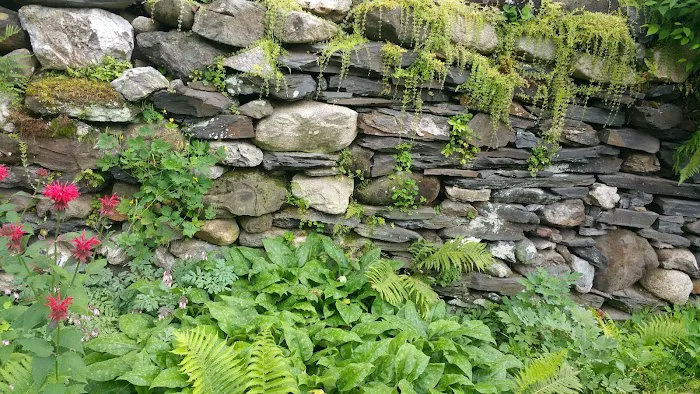 VT NH Veterinary Clinic Picture 7