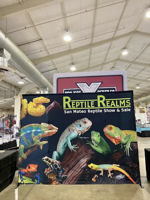 San Jose Reptile Show (June 21 & 22) Picture 2