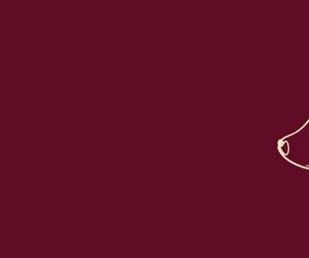The Crimson Box