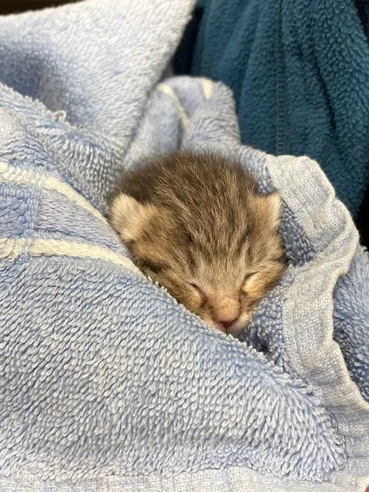 West River Valley Veterinary Service Picture 2