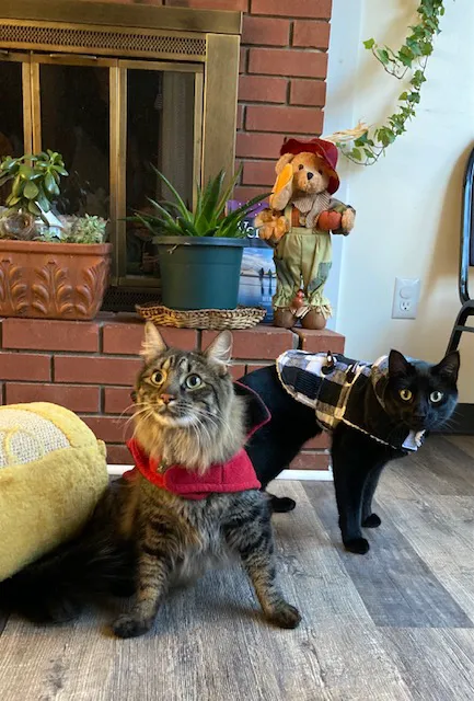 West River Valley Veterinary Service Picture 1