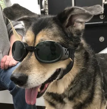 West River Valley Veterinary Service Picture 6