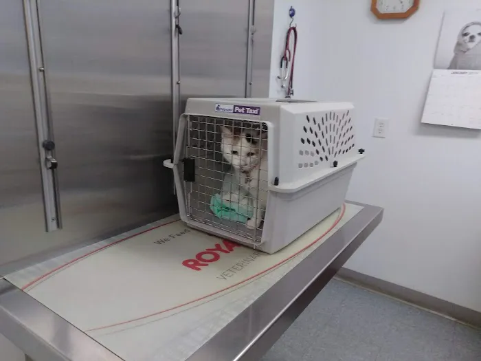 West River Valley Veterinary Service Picture 5