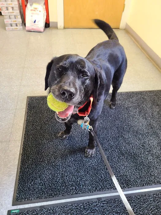 West River Valley Veterinary Service Picture 3