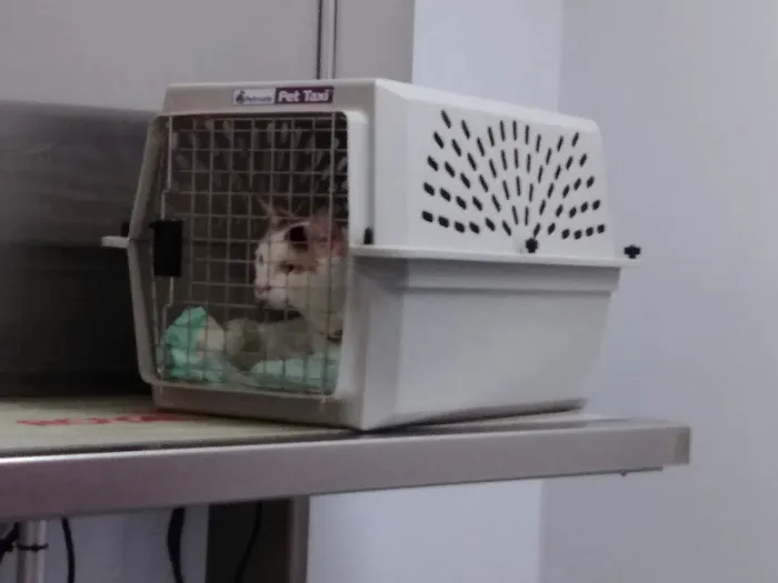 West River Valley Veterinary Service Picture 8