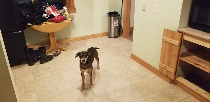 West River Valley Veterinary Service Picture 7