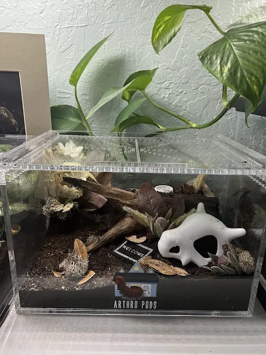 Juice's Arthropods Picture 2