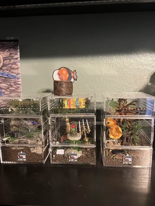 Juice's Arthropods Picture 1