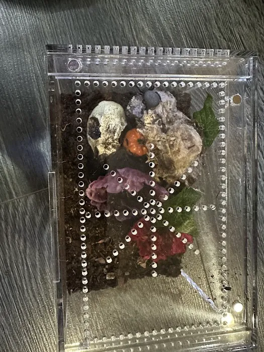 Juice's Arthropods Picture 4