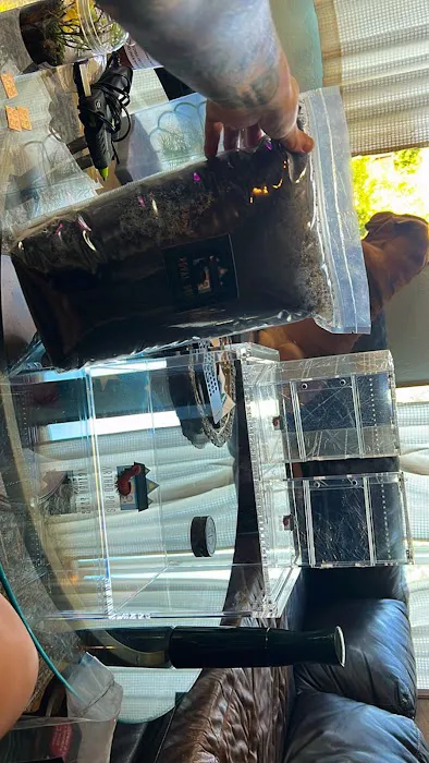 Juice's Arthropods Picture 6