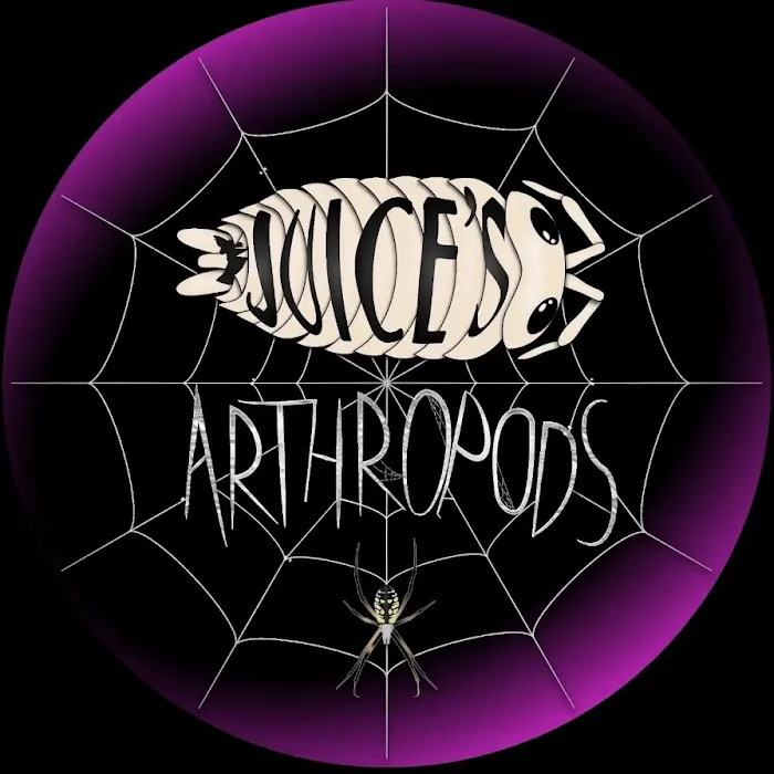 Juice's Arthropods Picture 10