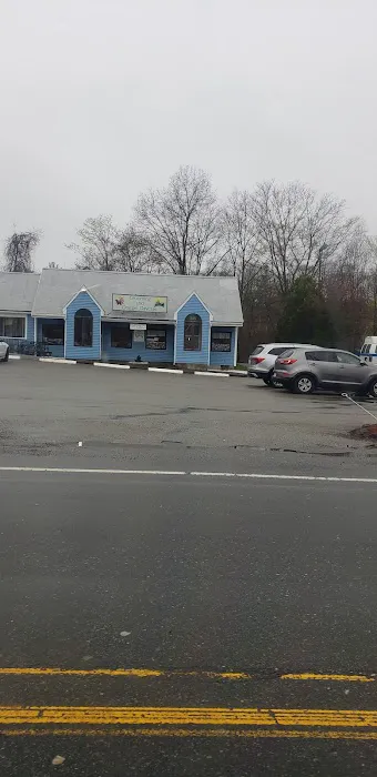 Lainer Animal Hospital of Canton Picture 1