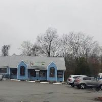 Lainer Animal Hospital of Canton ico